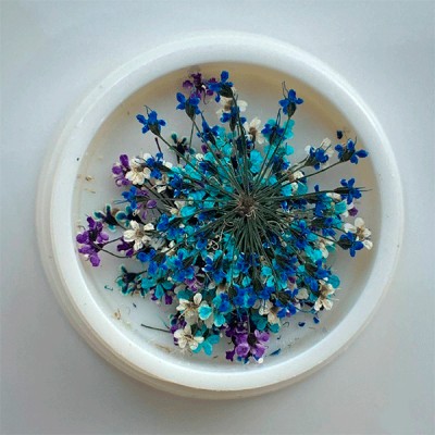NN Сухоцветы 5450 микс (синий, голубой, фиолет., св.синий, белый)